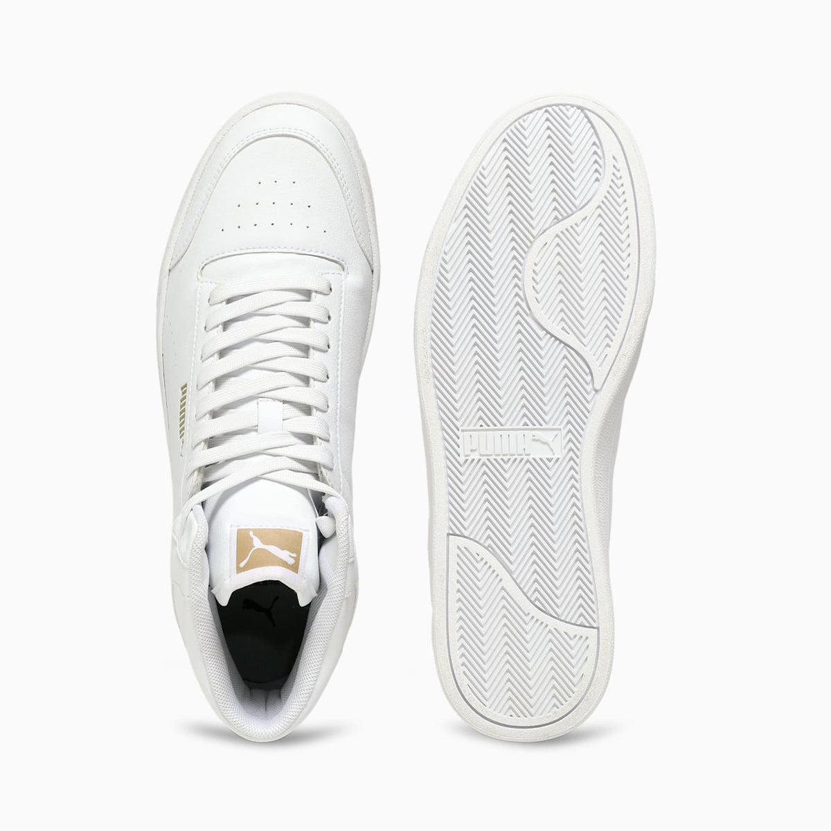 SHOE